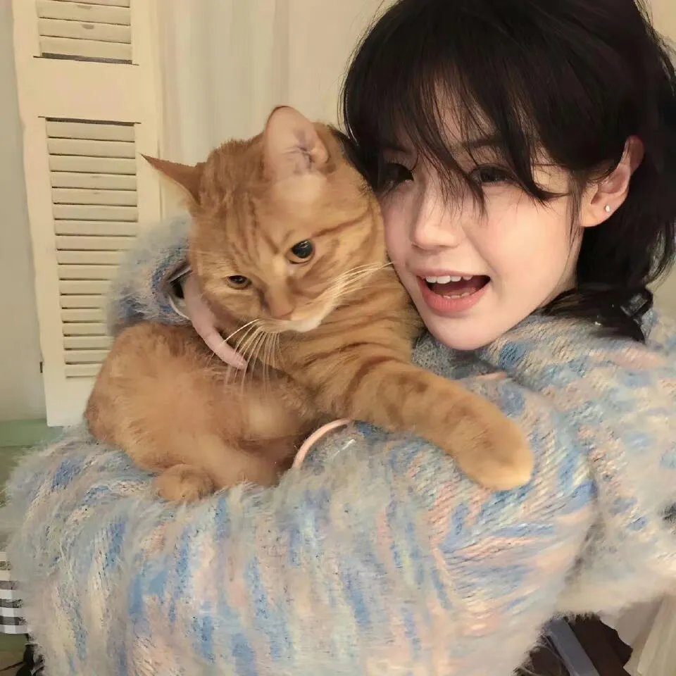 创世纪1:地产风云粤语