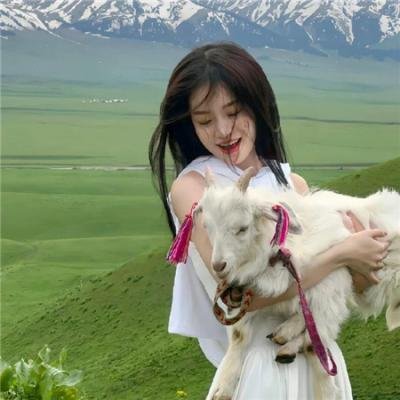 贵妃生存法则第二季